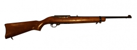 Ruger 10-22