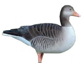 DKWAI Grauwe Gans