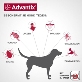 Advantix Spot On 400 4 ml - Anti vlooien en tekenmiddel - 4 pipet 25-40 kg