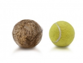 Firedog Rabbit Tennis Ball