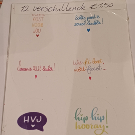 12 verschillende kleur stickers