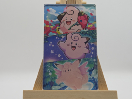 Pokémon Magneet: Cleffa Evolutions (XL)