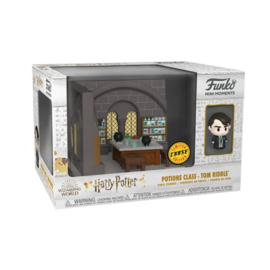 Harry Potter: Potions Class - Tom Riddle