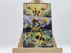 Pokémon Magneet: Elekid Evolutions (XL)