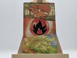 Pokémon Magneet: Vulpix/Ninetales (XL)