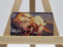 Pokémon Magneet: Arcanine