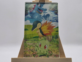 Pokémon Magneet: Johto Starters (XL)
