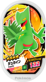 Sceptile Mezastar Card