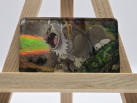 Pokémon Magneet: Slaking (Holo)