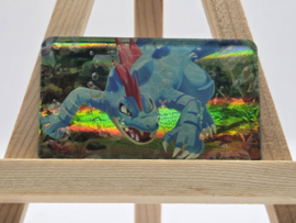 Pokémon Magneet: Feraligatr (Holo)