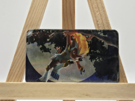 Pokémon Magneet: Infernape (Holo)