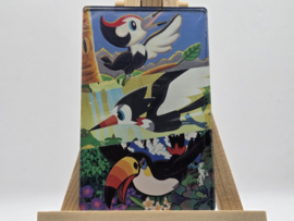 Pokémon Magneet: Pikipek Evolutions (XL)
