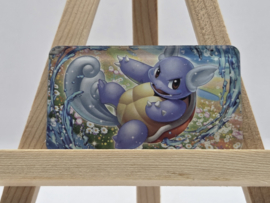Pokémon Magneet: Wartortle