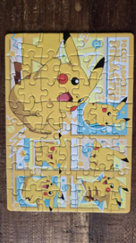 Pokémon Puzzel in Pokéball