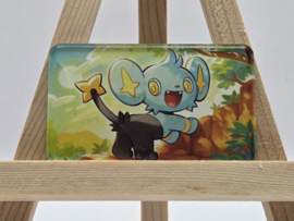 Pokémon Magneet: Shinx