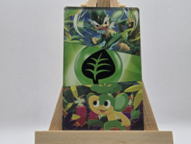 Pokémon Magneet: Pansage/Simisage Evolutions (XL)