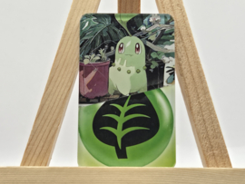 Pokémon Magneet: Chikorita/Energy