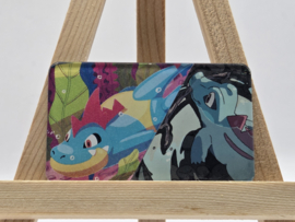Pokémon Magneet: Totodile/Croconaw