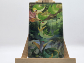 Pokémon Magneet: Snivy Evolutions (XL)