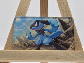Pokémon Magneet: Riolu