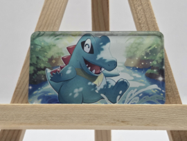 Pokémon Magneet: Totodile