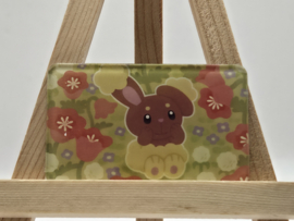 Pokémon Magneet: Buneary