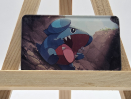Pokémon Magneet: Gible