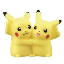 Pikachu (Male & Female) Figuur