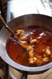 Oogst Natural Dyeing – Beginners Pakket