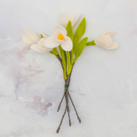 Viltbloemen van de Viltbloemist