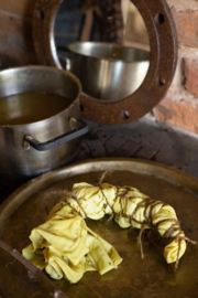 Oogst Natural Dyeing – Beginners Pakket