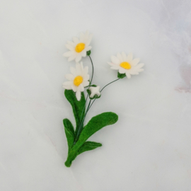 Bloombox 'april: madeliefje'