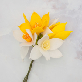 Bloombox 'maart: narcis'
