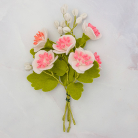 Bloombox 'mei: meidoorn'