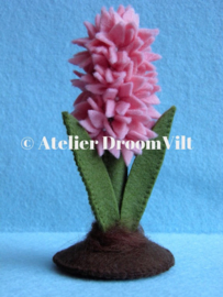 Viltpakket 'Hyacinth'