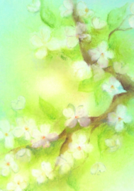 Oliepastelkaart 'bloesem'