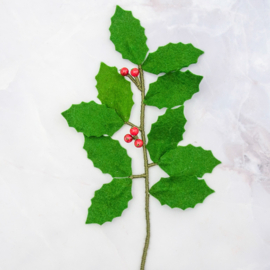 Bloombox 'december: hulst'