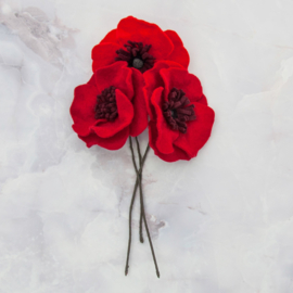 Bloombox 'augustus: papaver'