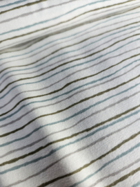 Cotton jersey  stripes   Art 21708-051