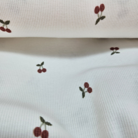 Rib Cotton jersey    Art 23569.051