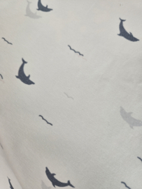 Cotton jersey     Art 21709-003