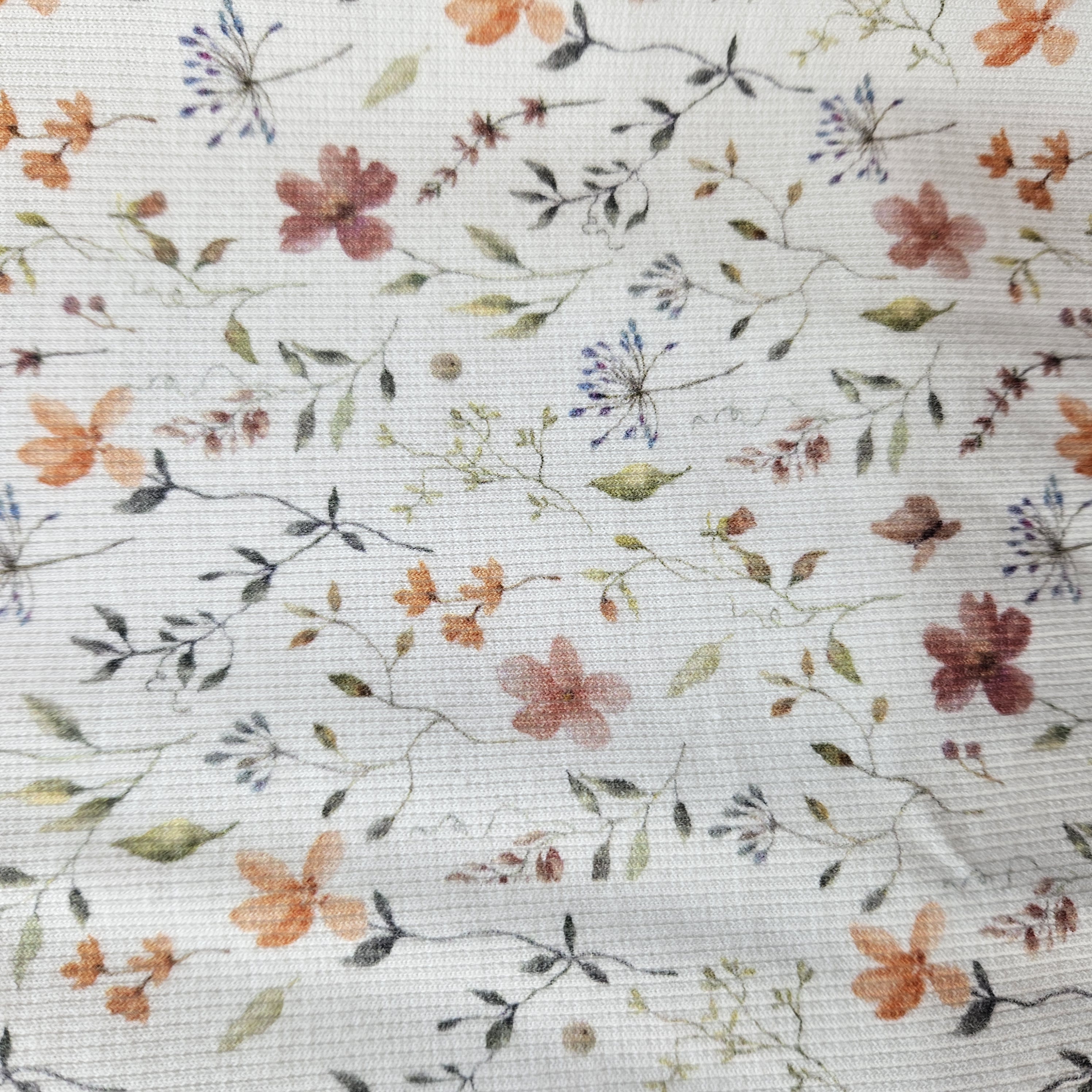 Rib Cotton jersey       Art 25504- 051