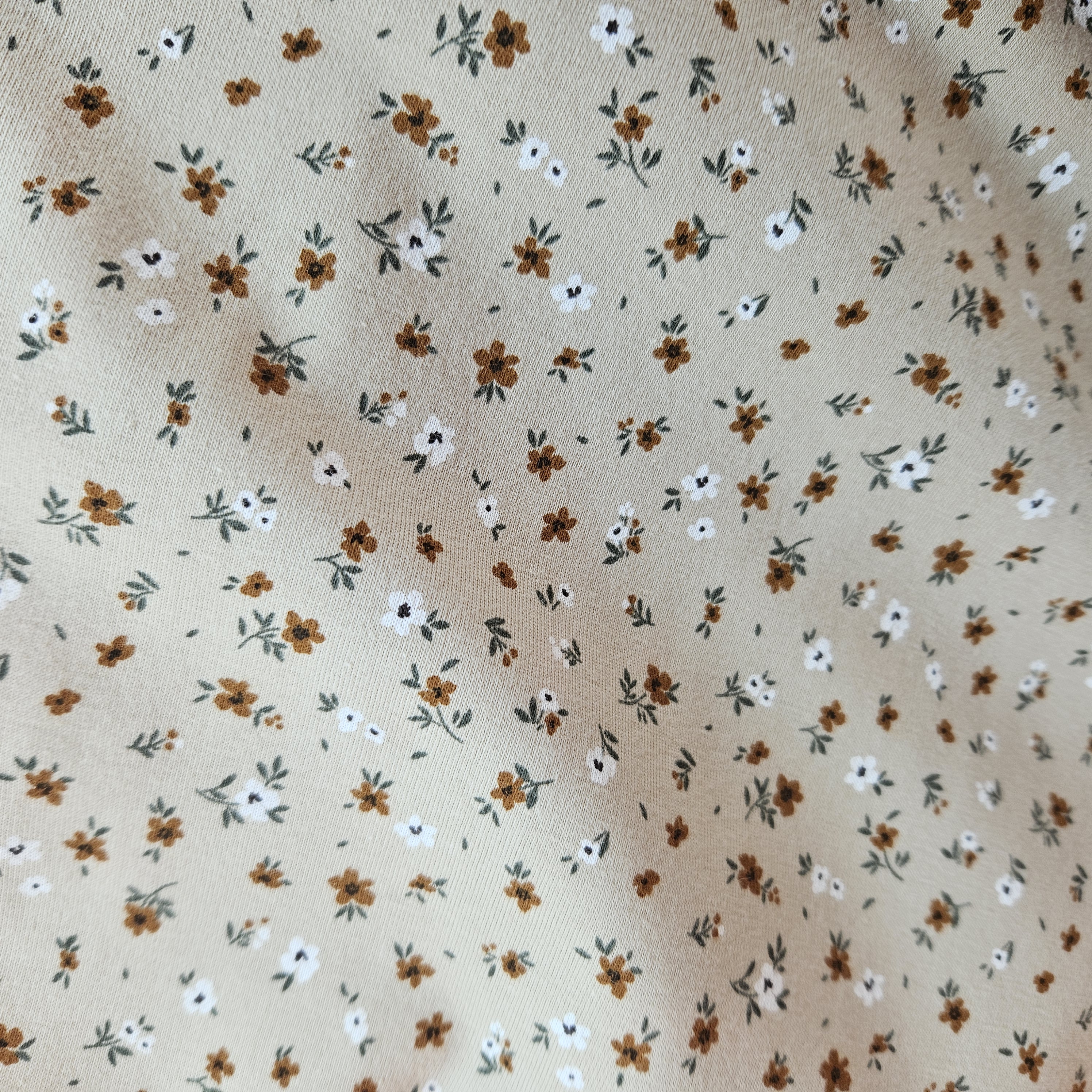 Cotton jersey   Art :N 25416 /052