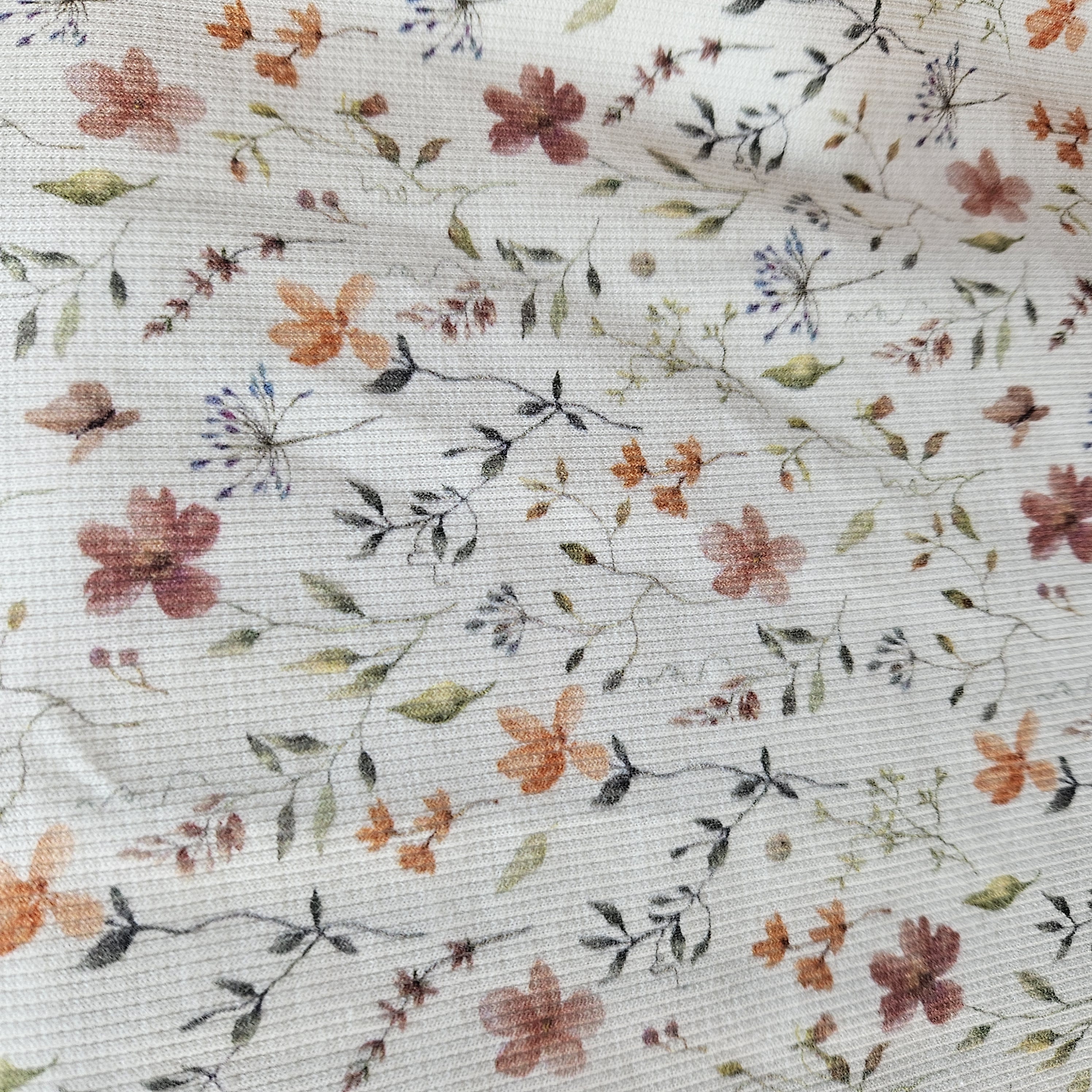 Rib Cotton jersey       Art 25504- 051
