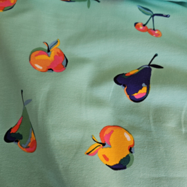 Frence terry   Fruit motief  ART 20086-520