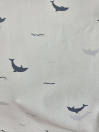 Cotton jersey     Art 21709-003