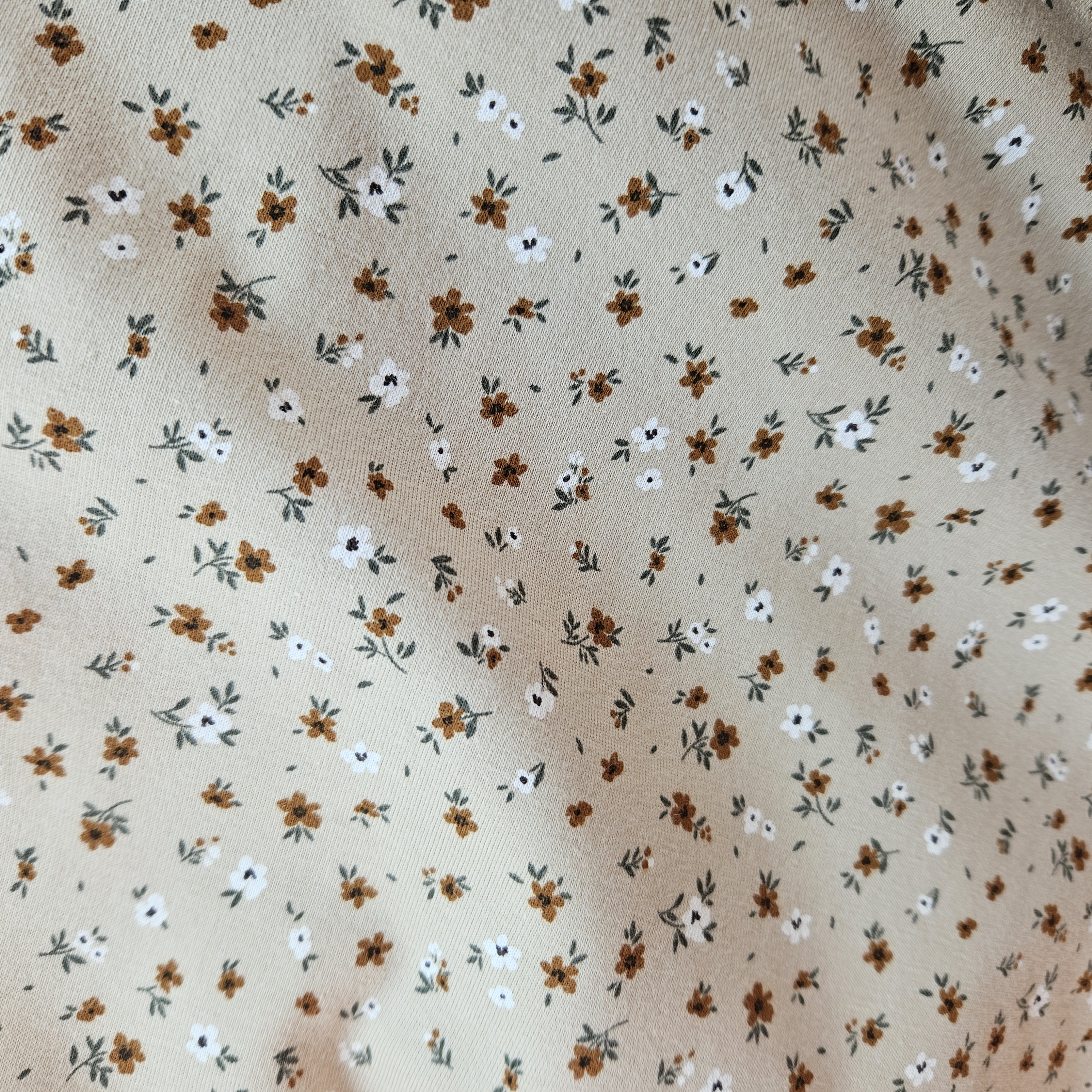Cotton jersey   Art :N 25416 /052