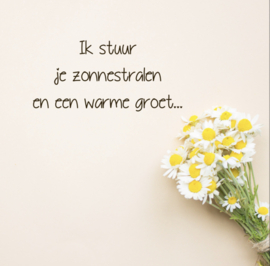 kadolabel - ik stuur je zonnestralen en een warme groet