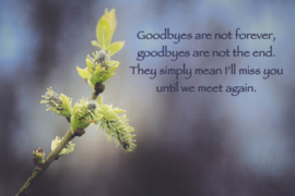 Goodbyes are not forever  - Ansichtkaart