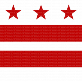 Washington D.C. Paper Pack – 15,2 cm Scrapbookpapier